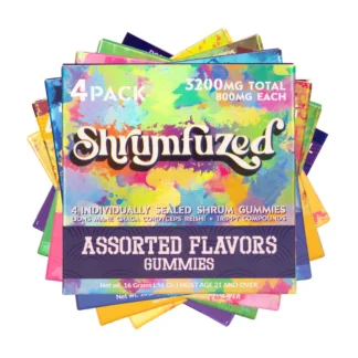 SHRUMFUZED | NOOTROPIC MUSHROOM BLEND | 800MG